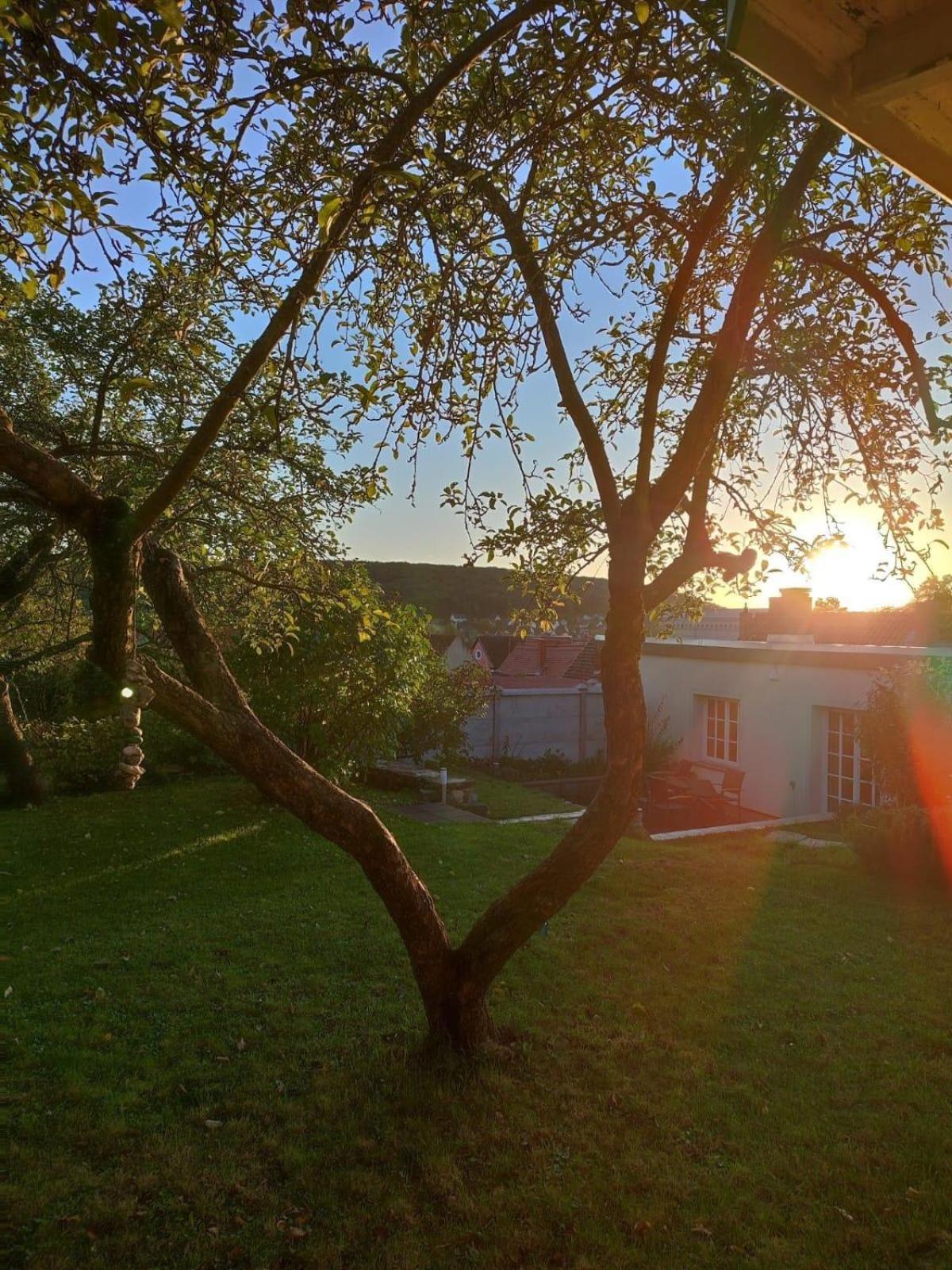 Ferienhaus Zur Alten Korbmacherei Freyburg Exterior foto